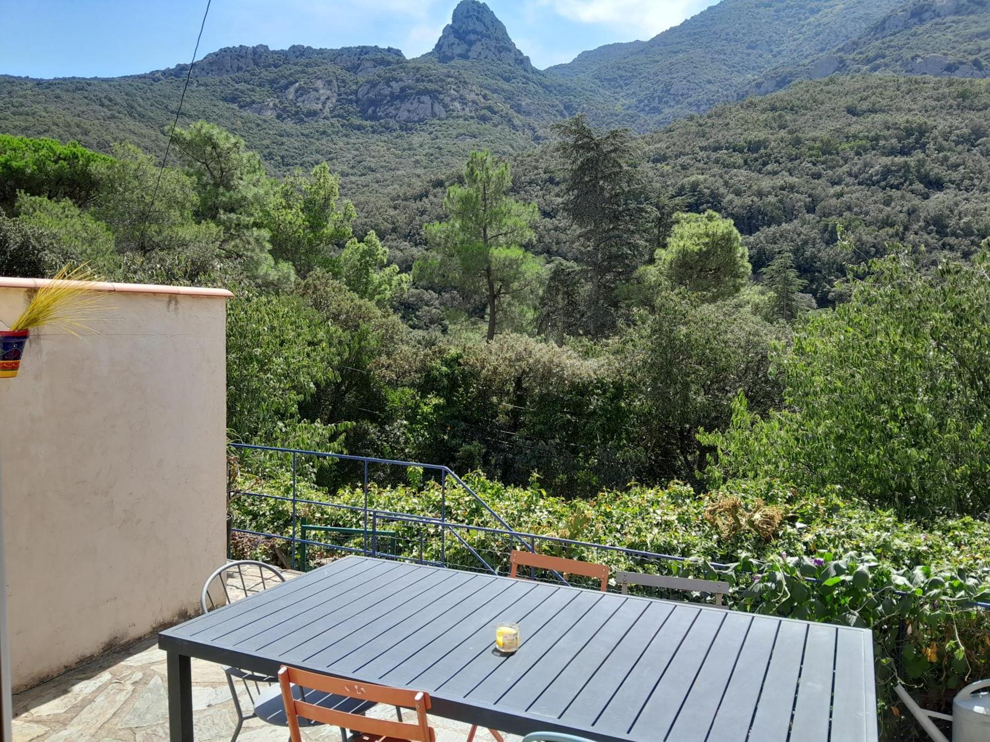 Villa Mas La Bergerie Sorède Exterior foto