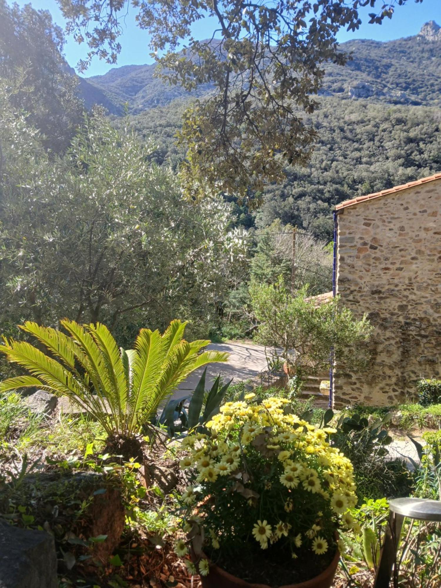 Villa Mas La Bergerie Sorède Exterior foto